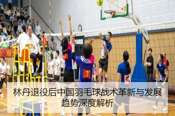 lin-dan-tui-yi-hou-zhong-guo-yu-mao-qiu-zhan-shu-ge-xin-yu-fa-zhan-qu-shi-shen-du-jie-xi-2-453.jpg
