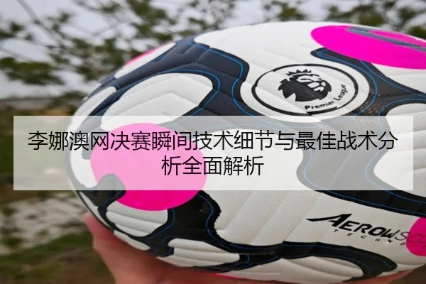 李娜澳网决赛瞬间技术细节与最佳战术分析全面解析