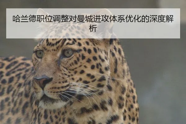 哈兰德职位调整对曼城进攻体系优化的深度解析